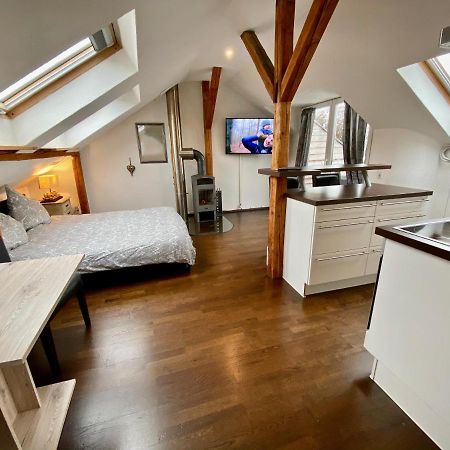 Apartament Wohnen Ueber Den Daechern Von Ravensburg, Stadtnah, Kamin, Klima Zewnętrze zdjęcie