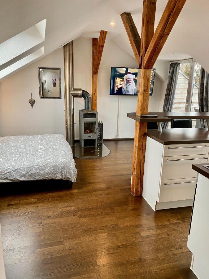 Apartament Wohnen Ueber Den Daechern Von Ravensburg, Stadtnah, Kamin, Klima Zewnętrze zdjęcie