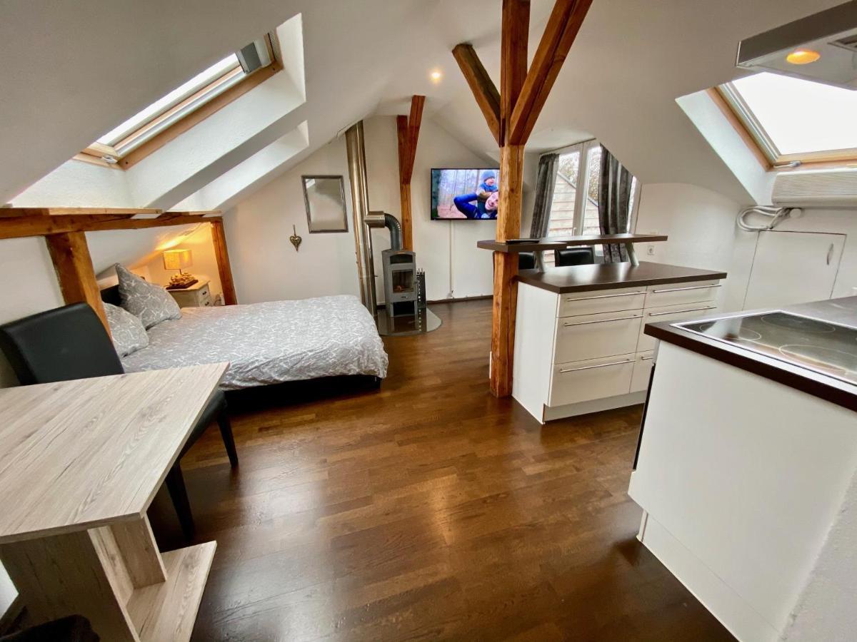 Apartament Wohnen Ueber Den Daechern Von Ravensburg, Stadtnah, Kamin, Klima Zewnętrze zdjęcie